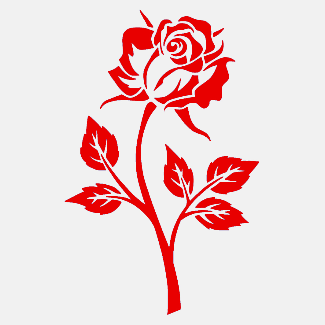 SANT JORDI 2026